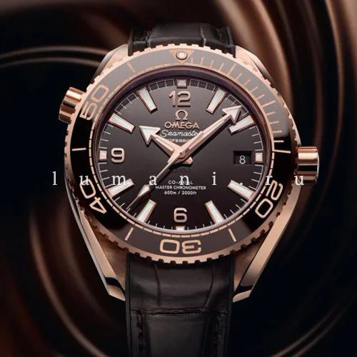 Planet Ocean 600m Master Chronometer от Omega