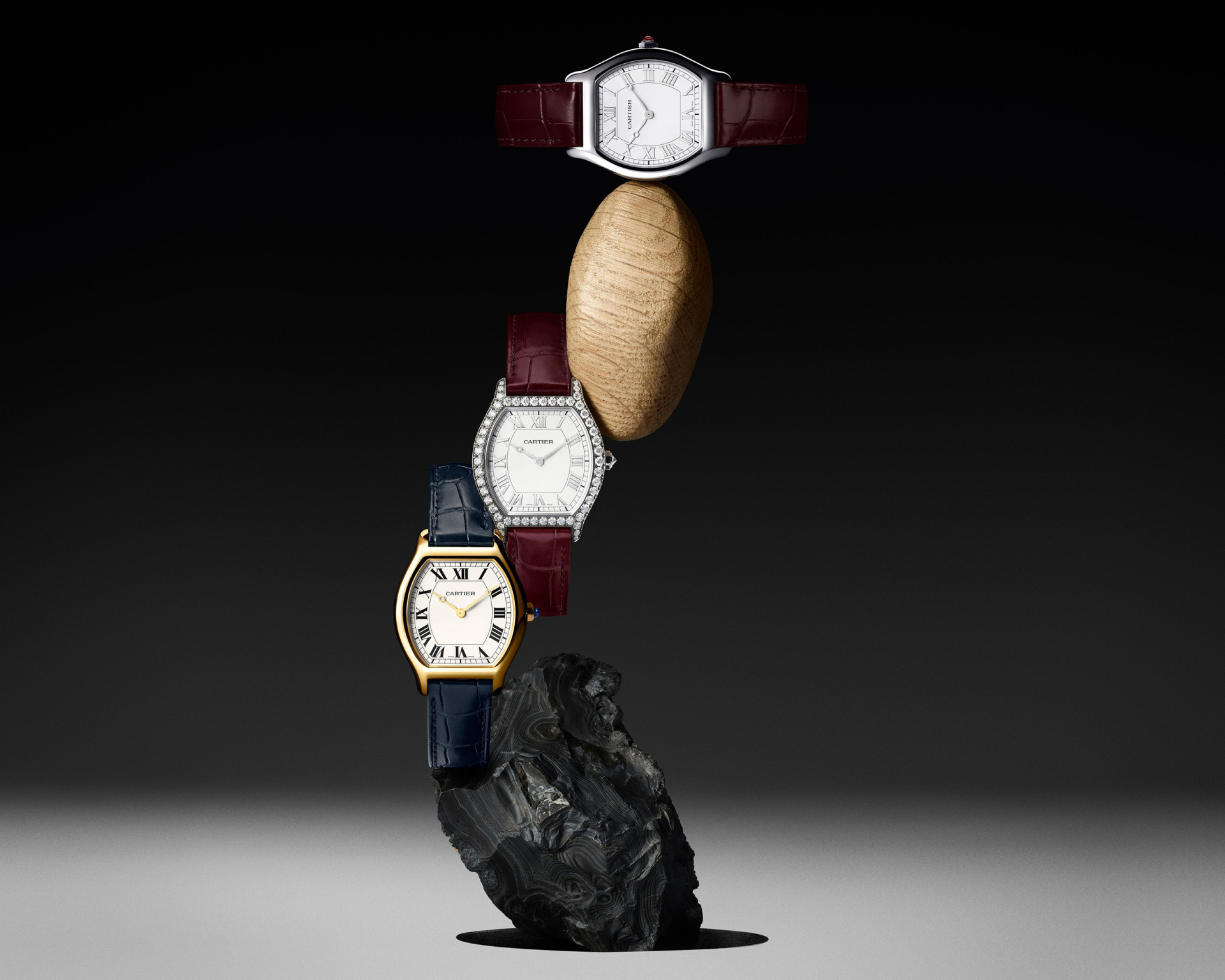 Современные модели Cartier Tortue (2024 – 2026)