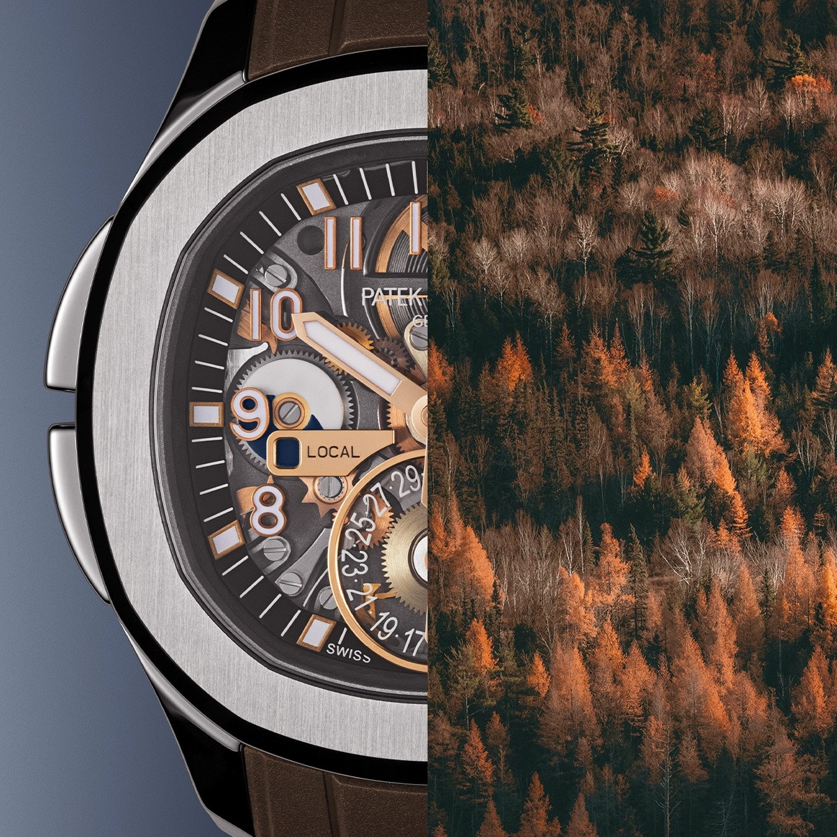 Кастомные Patek Philippe Aquanaut Ref. 5164 Autumn Leaves