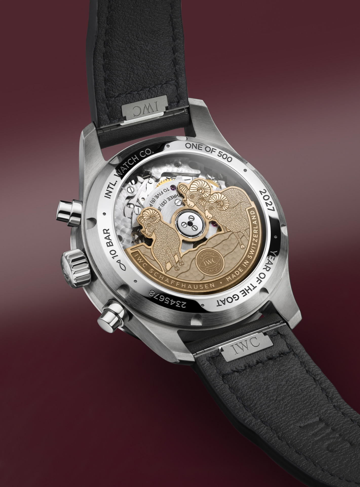 IWC Pilot's Watch Performance Chronograph 41 Year of the Goat